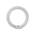 TUBO CIRCULAR 22w 865 casquillo G10Q