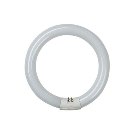 TUBO CIRCULAR 22w 865 casquillo G10Q