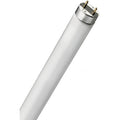 TUBO FLUORESCENTE T8 36w 865 (120cm)