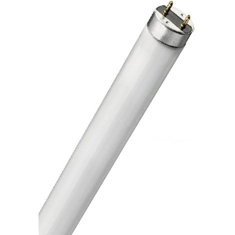 TUBO FLUORESCENTE T8 36w 865 (120cm)