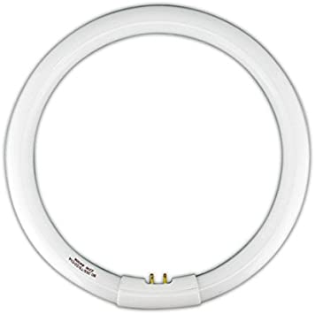 TUBO T5 CIRCULAR 22w 6500K "4 PIN dentro" G10Q LYC
