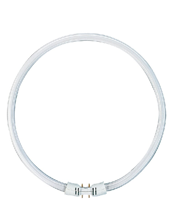 TUBO T5 CIRCULAR " FC " 55w / 860 (30cm) *