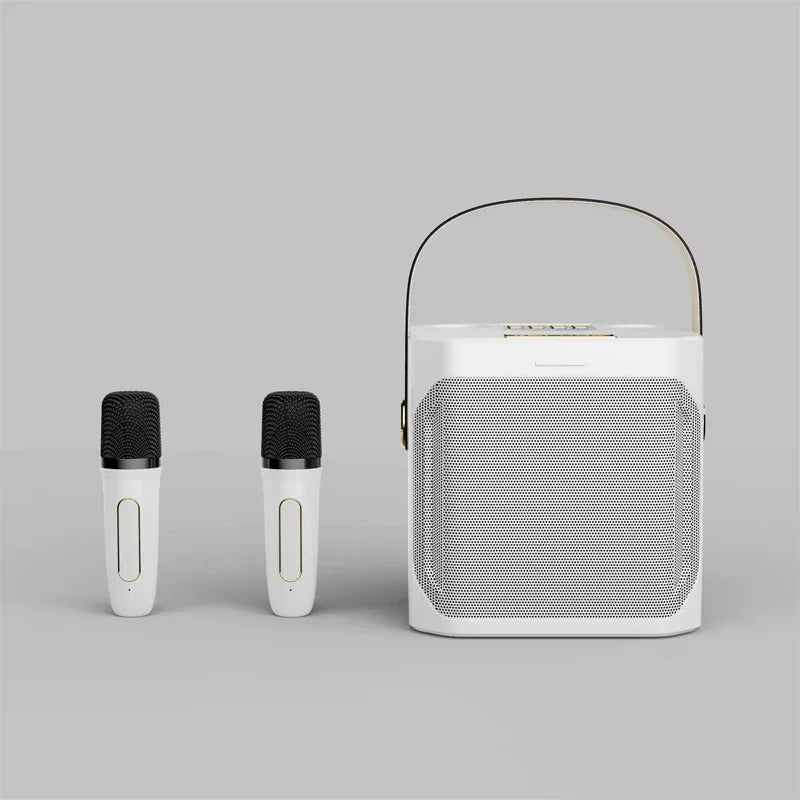 High Power Karaoke Bluetooth Speaker with Dual Microphone-3