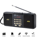 Portable FM Radio Bluetooth Speaker Black-1