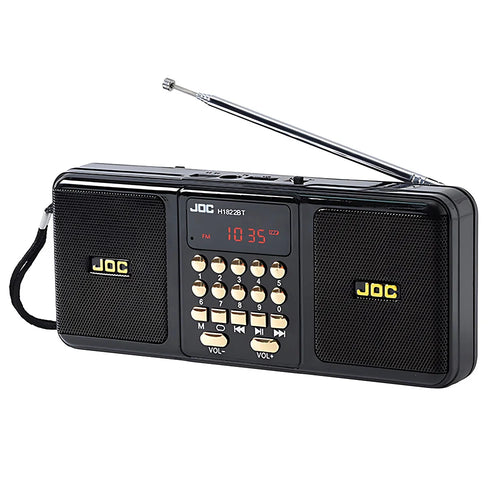 Altoparlante portatile con Bluetooth e radio FM, nero