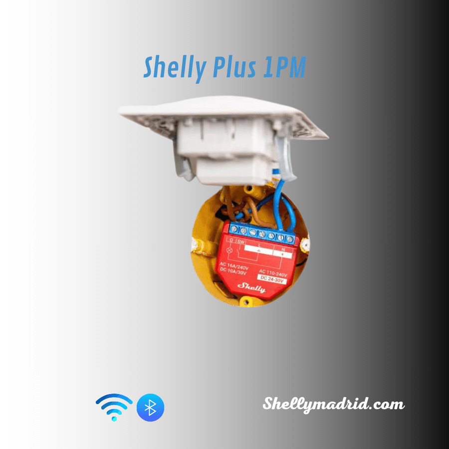 Shelly Plus 1PM