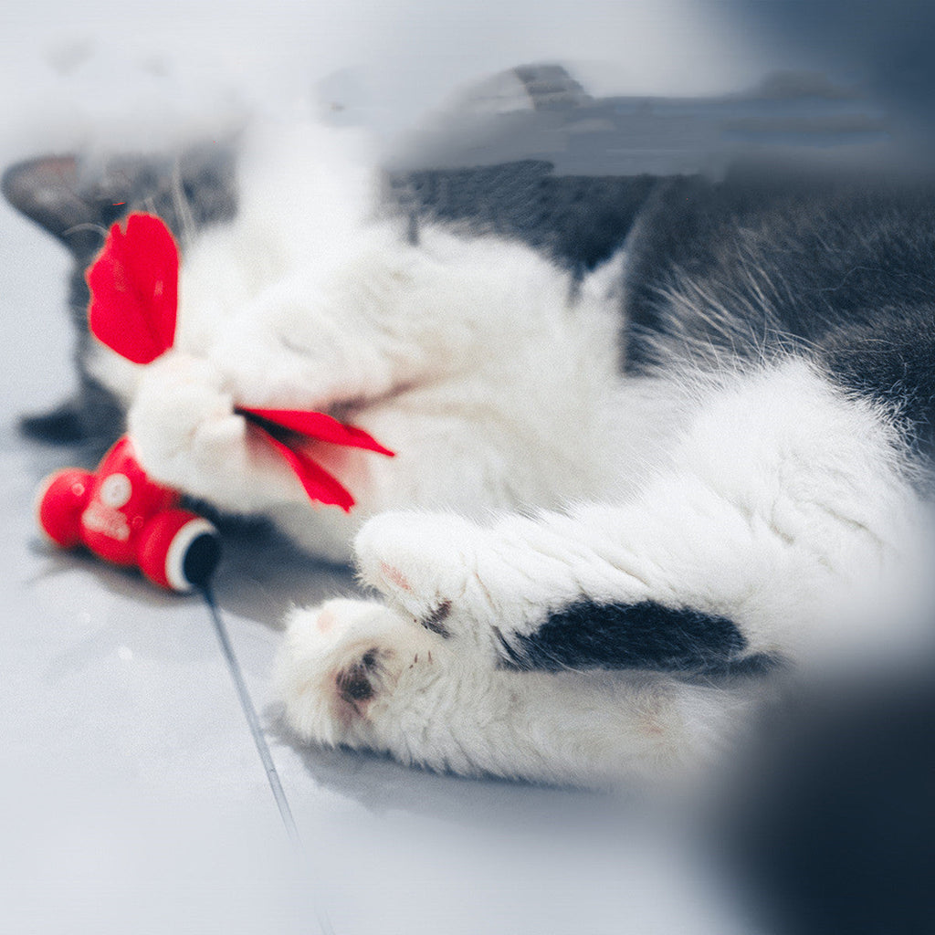 Smart cat toy set