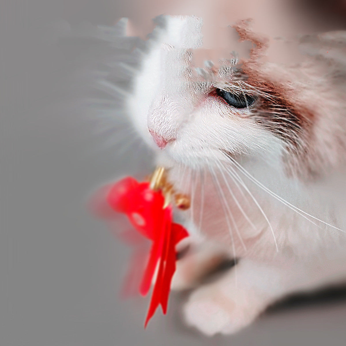 Smart cat toy set