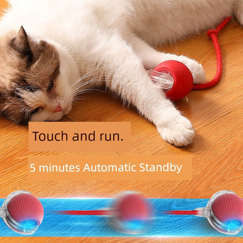 Smart Interactive Cat Teasing Ball-4