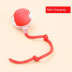 Smart Interactive Cat Teasing Ball-5