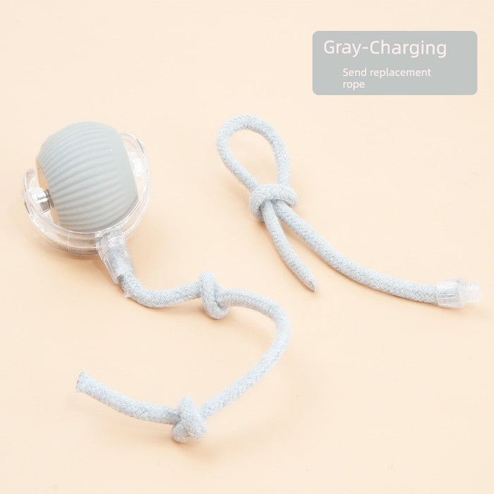 Automatic USB-Rechargeable Electric Cat Play Ball