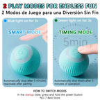 Smart Rolling Cat & Dog Interactive Ball Toy-3