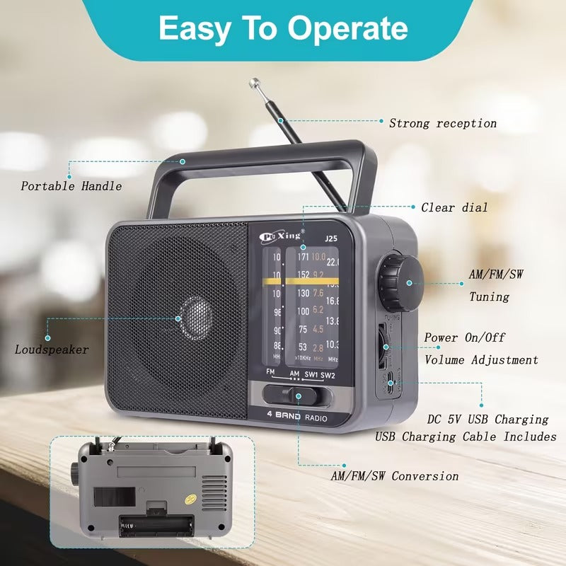 AM/FM transistor radio with USB charging